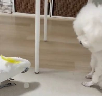 見守る