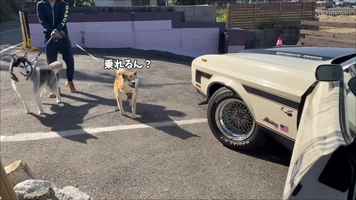 特別な車も出してくれた