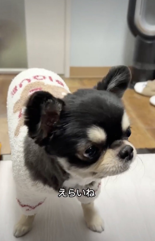 速やかに「完食」