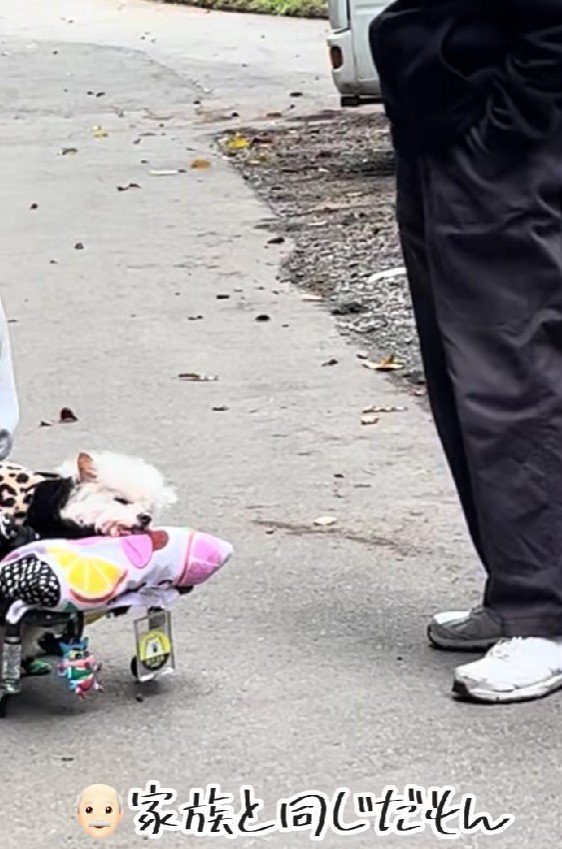 「家族と同じだもんなあ」