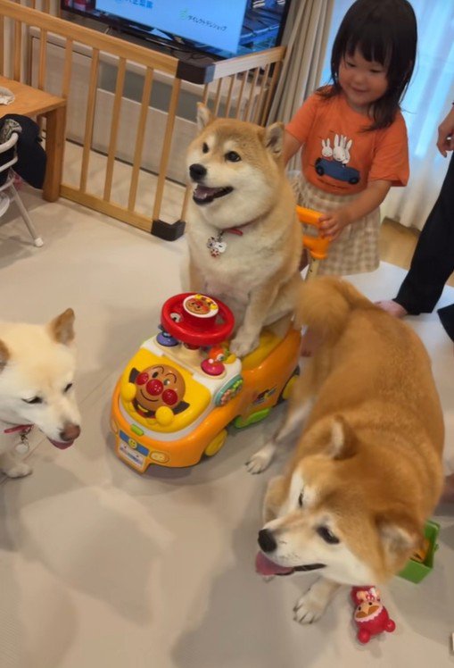 ポポちゃんとの思い出3