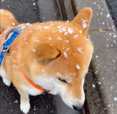 最高の組み合わせ