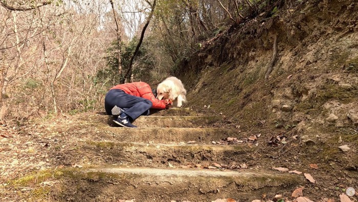 「なに？どうしたの？」