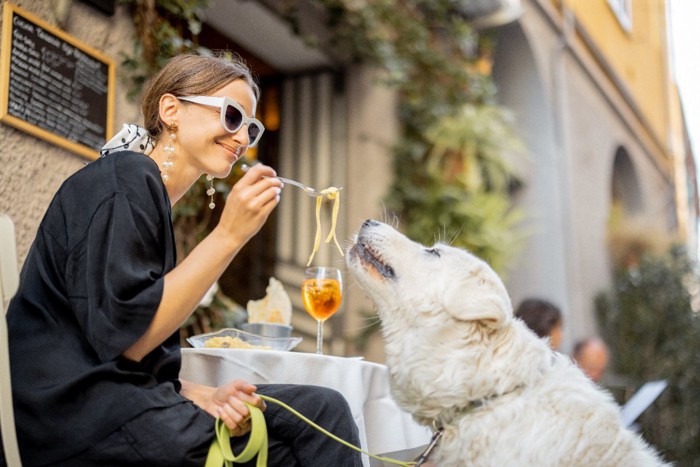 犬にパスタを与える女性