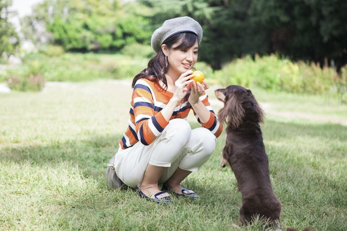 ボールで犬と一緒に遊ぶ女性