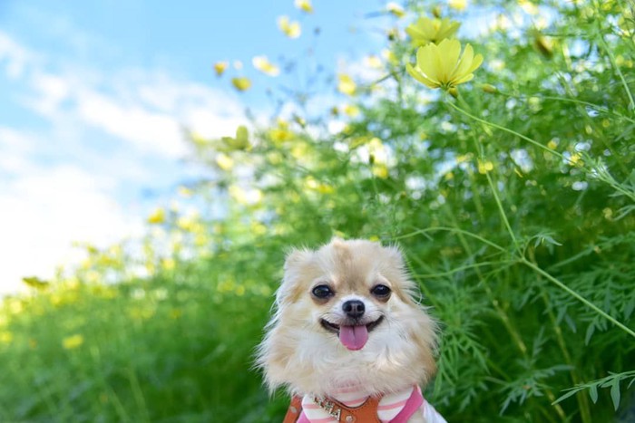 千茉ちゃん