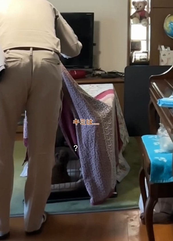 不思議そうなベベさん