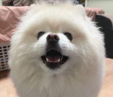 ニコニコ