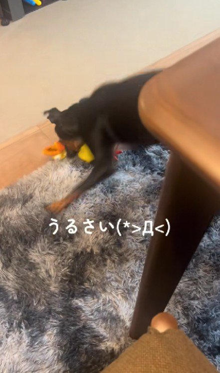 とにかくうるさい！！
