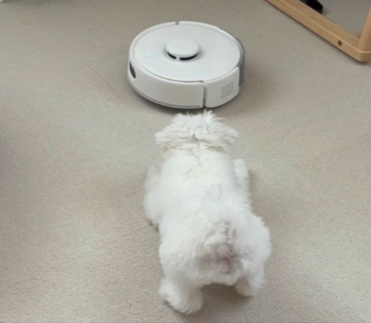 また別の日
