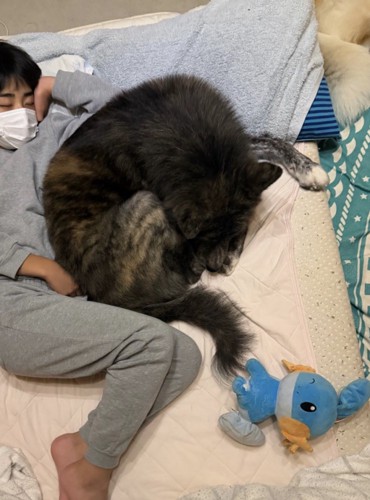 お兄ちゃんが心配なのかな？