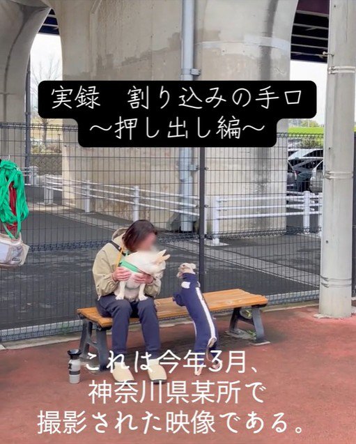 スキップ君の割り込みの手口