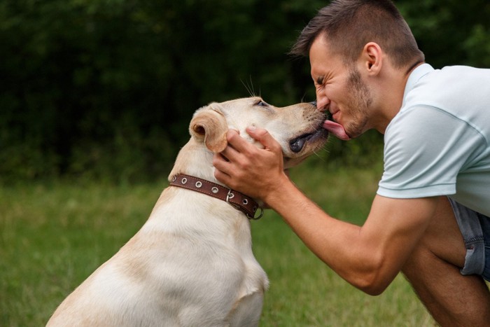 男性にキスされている犬