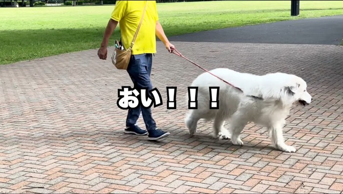 犬に声をかける男性