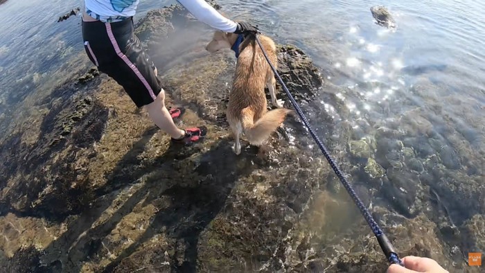「大丈夫？気を付けてね」