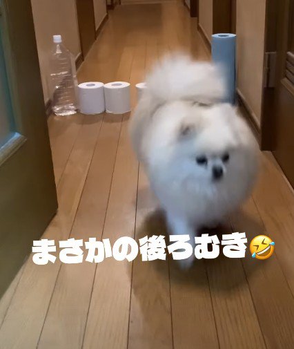 逆にすごい！？