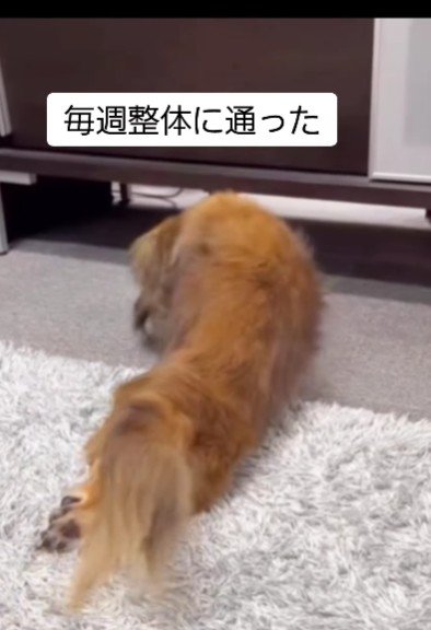 整体に飛び込んだ
