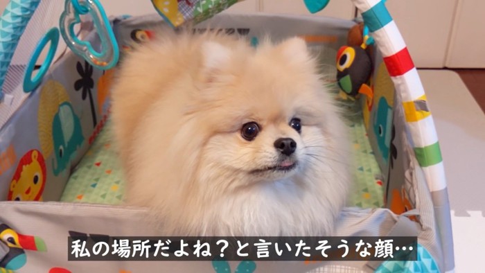 我が物顔でベビージムを占領(笑)