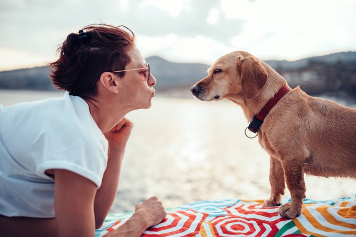 飼い主と対面する薄目の犬