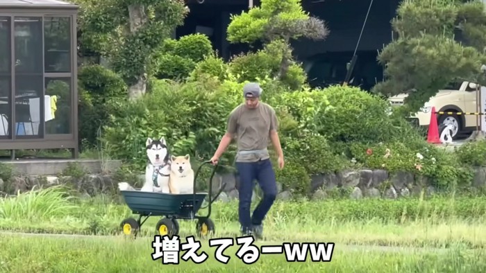 斬新すぎるお散歩！？