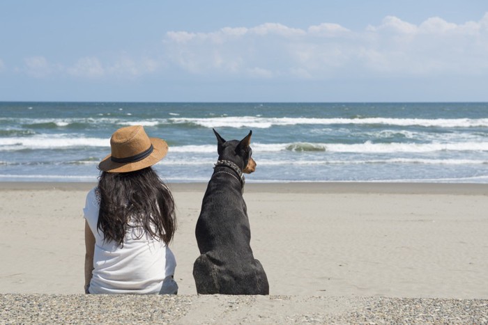 飼い主と犬の後ろ姿の写真