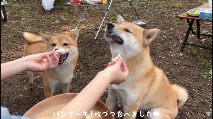 朝はパンケーキもらった♡