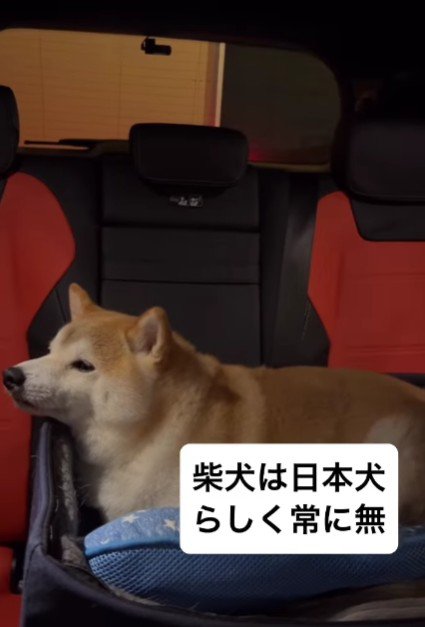忠太くんは…