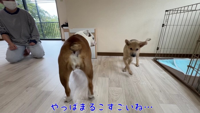 優しいまるこちゃんにホッコリ