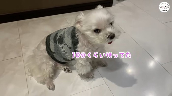 ナナくんとママさんのやり取り9