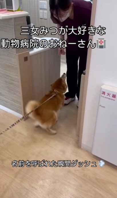 お姉さんのことが大好き！