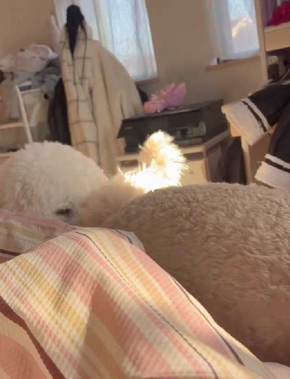 にぎやかな目覚め…♪