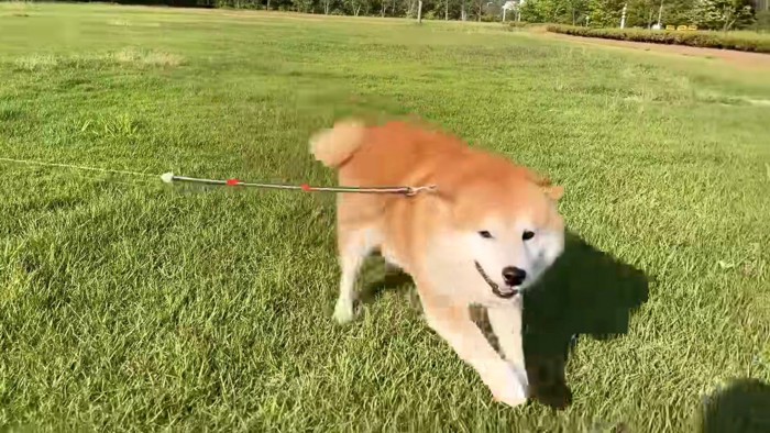 「いつの間に帰ってきたんや！」