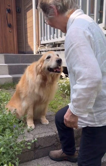 おばあちゃんにお別れするハルちゃん