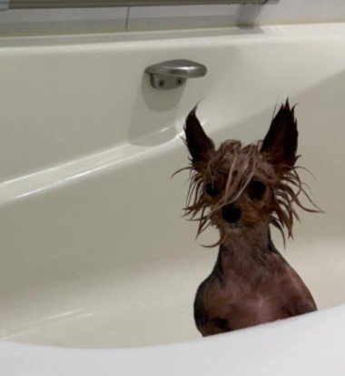 前髪がインパクト大きい…!!