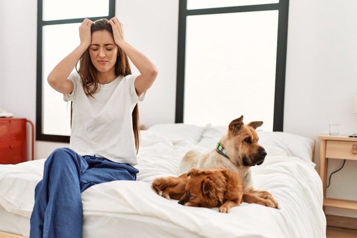 頭を抱える女性と犬