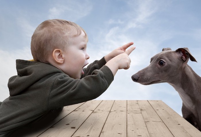 子供と向かい合って座る犬