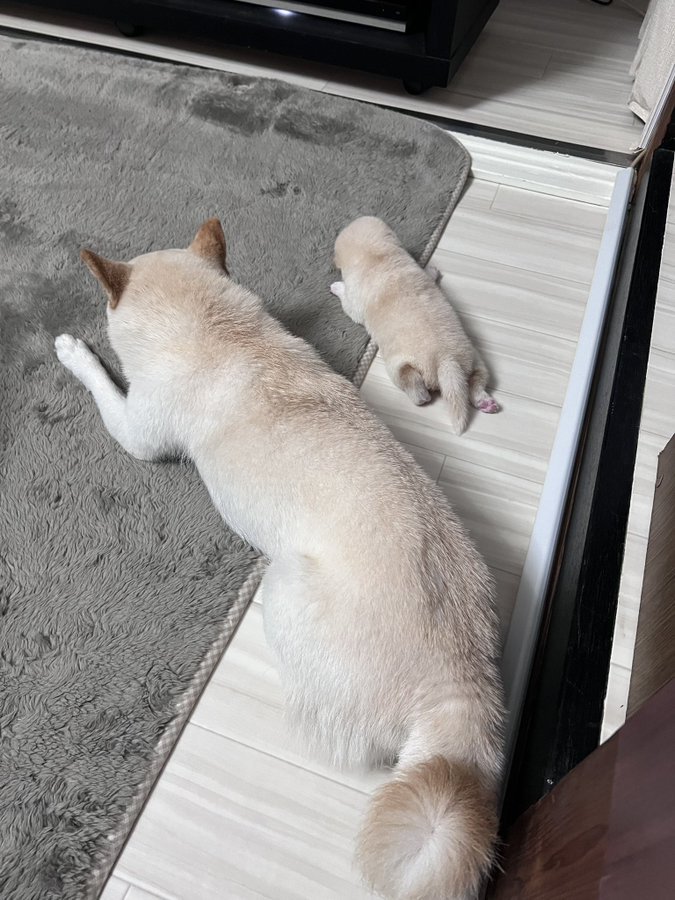 仲良し