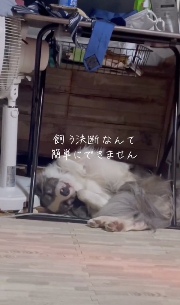 お迎えを決意！