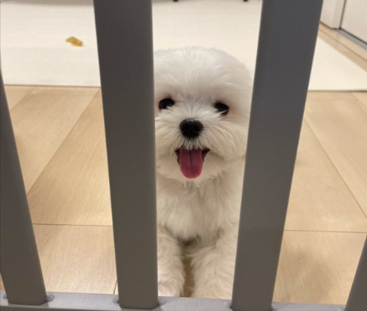 ニッコリ