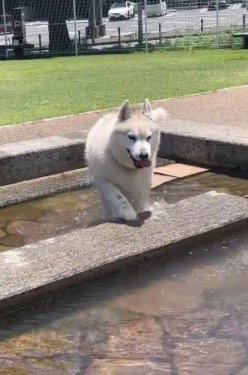 登ろうとしたら…