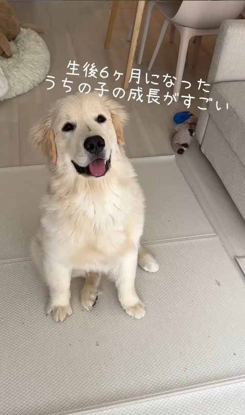 ぴの君の成長