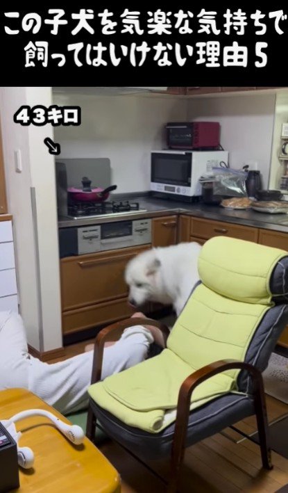「あら？ちょっと強すぎたかしら？」