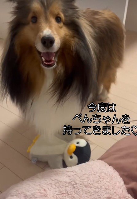 「これもあげていいよね?」