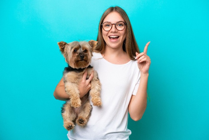 ブルー背景の女性と犬