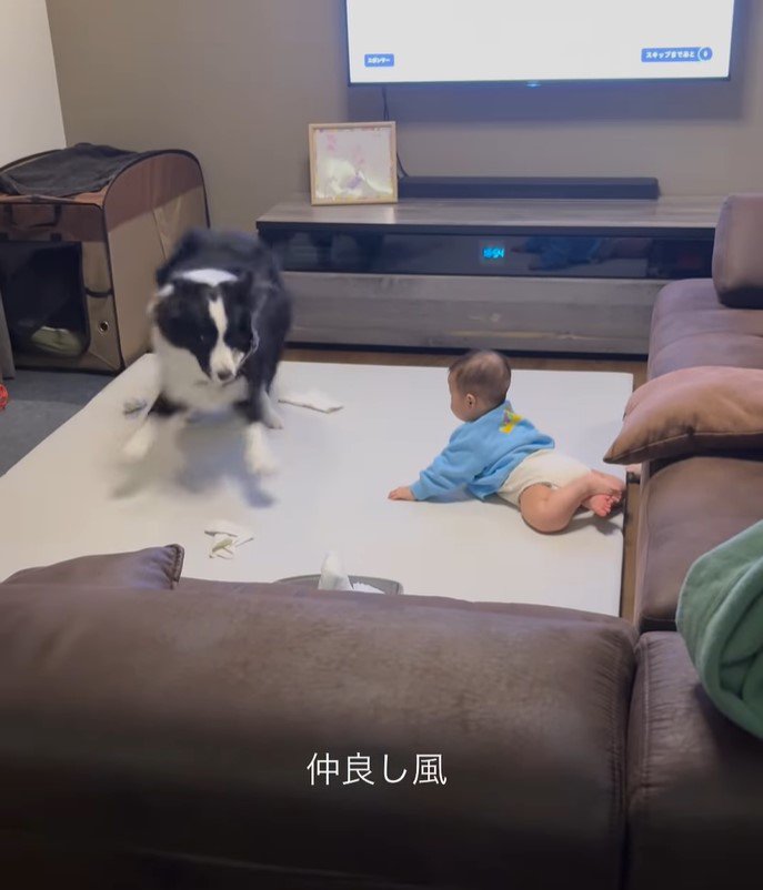 こり男くんと赤ちゃん9