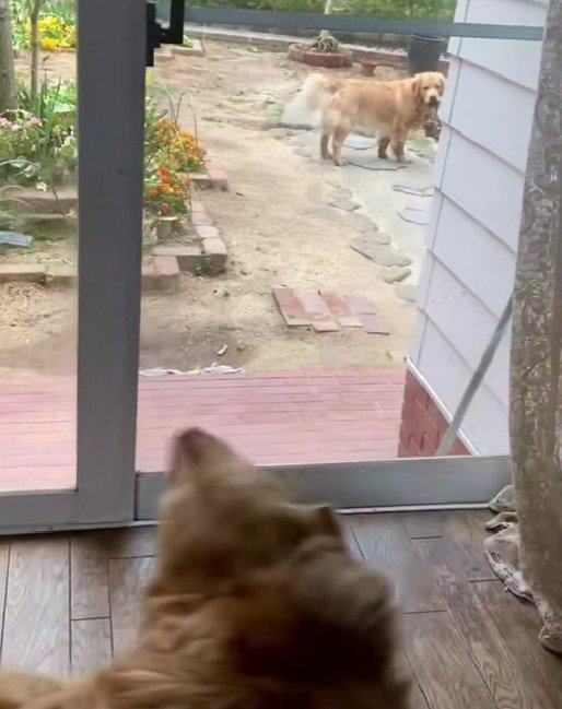 「気は変わった…?」