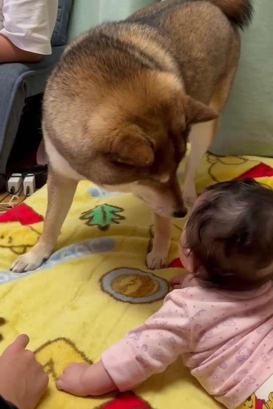 笑い待ち…