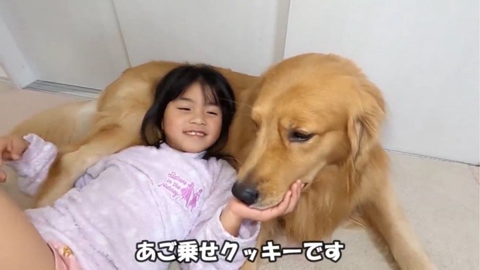 顎を乗せる犬