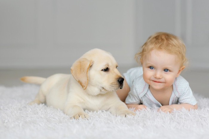 赤ちゃんと子犬