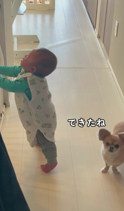 ちゃんとできたね！！